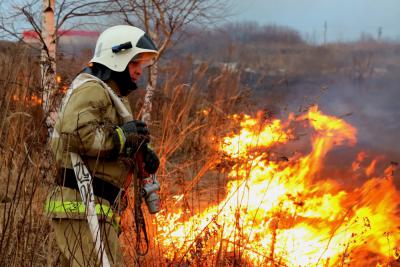 Пожарные Рязанской области за сутки 90 раз тушили траву